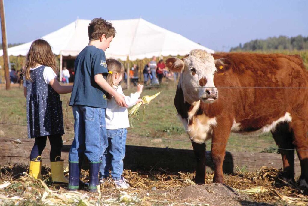 kids with cow