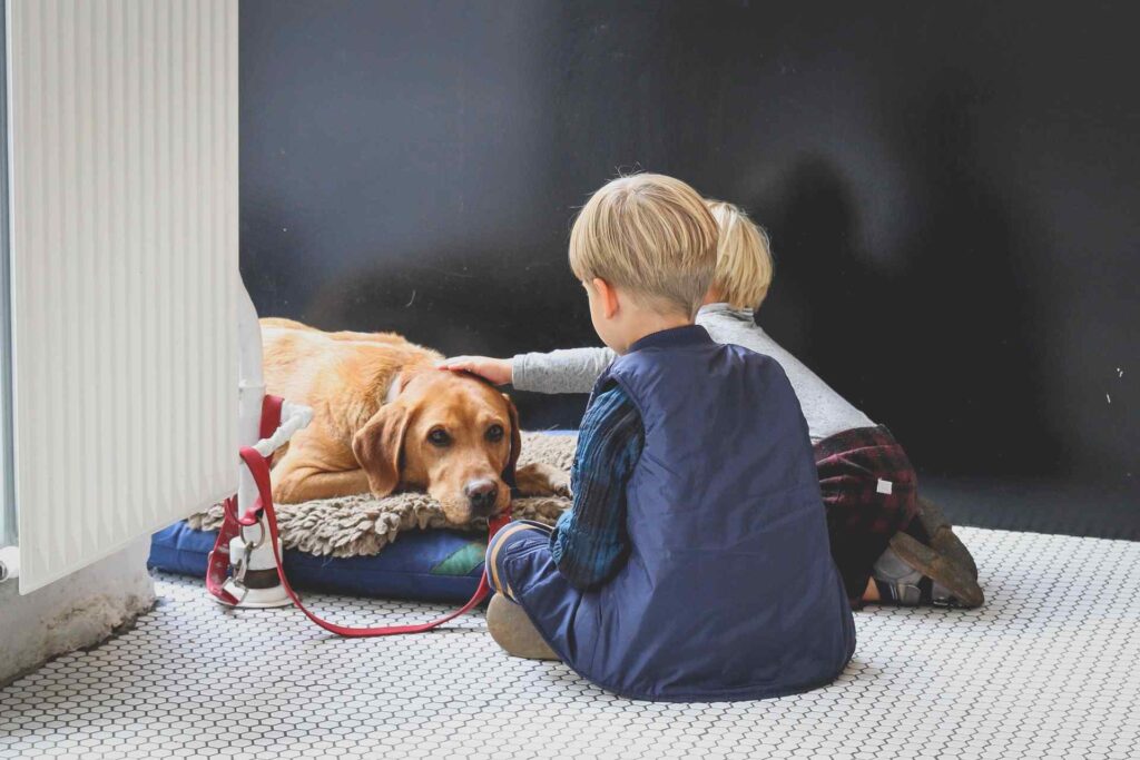 dog at home