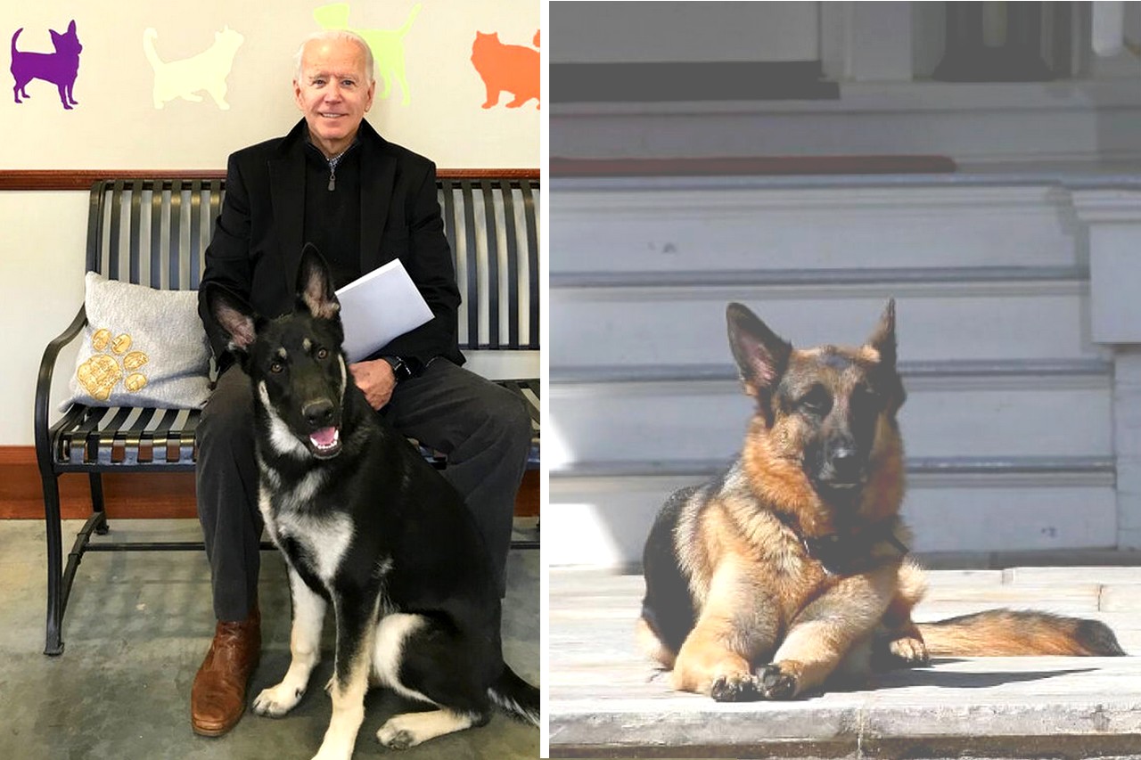 Joe Biden and his two German shepherd dogs Major and champ