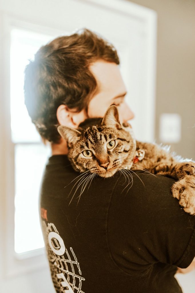 How and Why Do Cats Cuddle How and Why Do Cats Cuddle