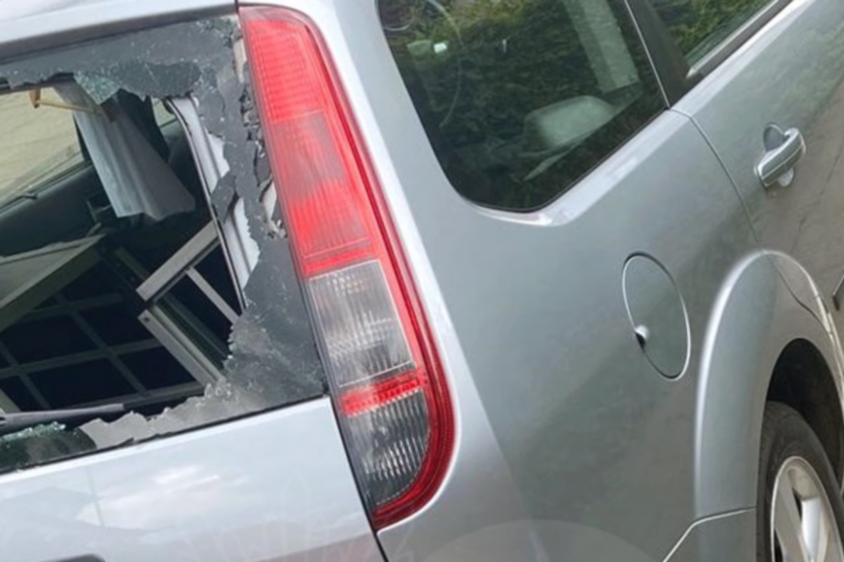 Dog left alone in a car at 140 F Dog left alone in a car at 140 F