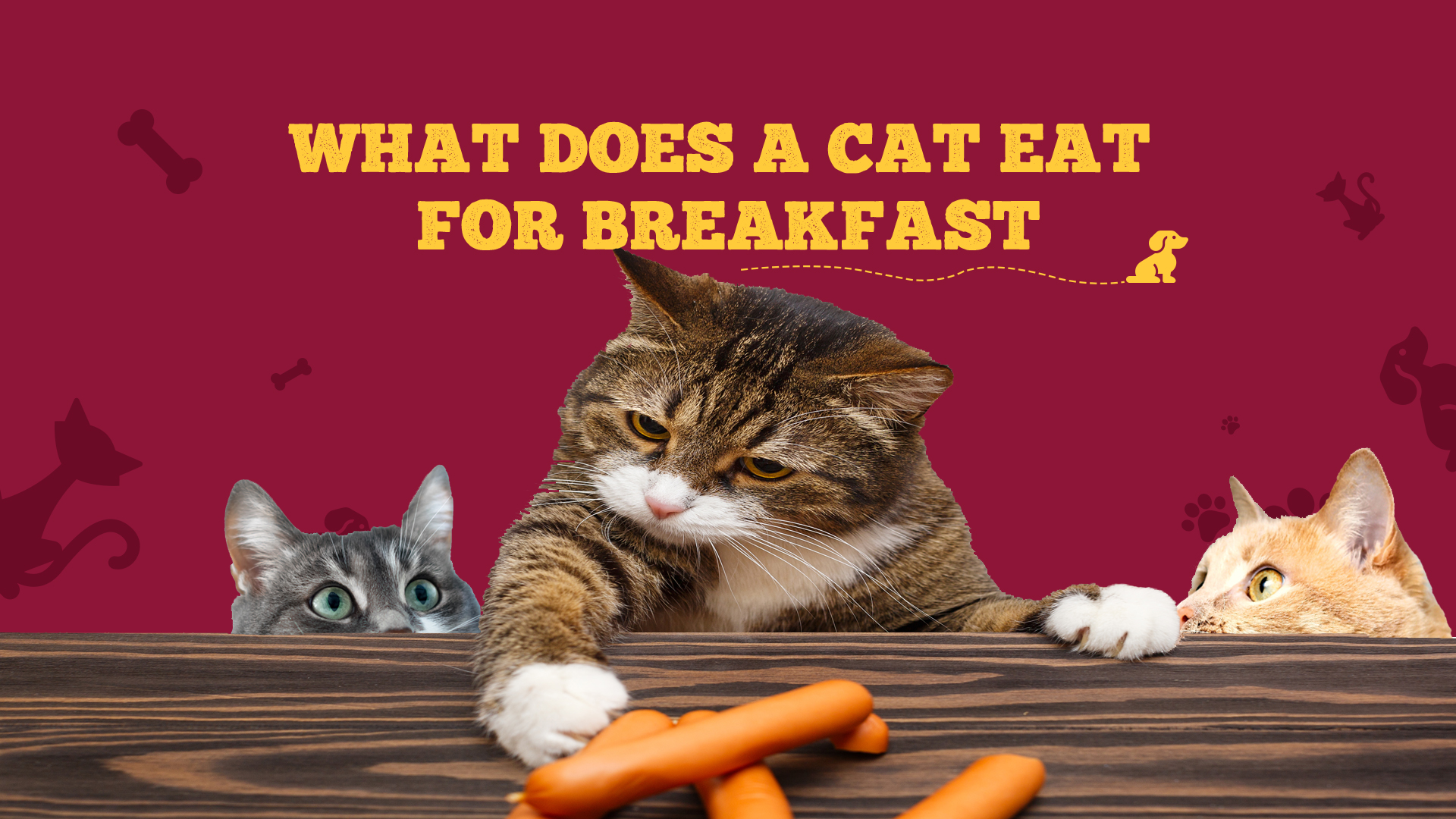 What Does A Cat Eat For Breakfast Animals Yard