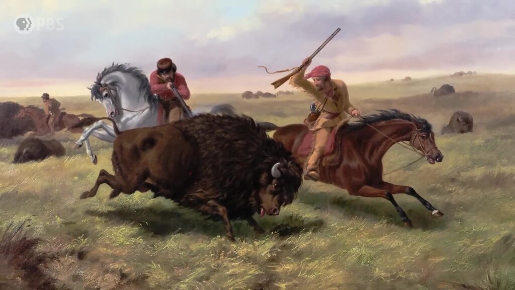 The American Buffalo Exploring the New Documentary from Ken Burns PBS art 3