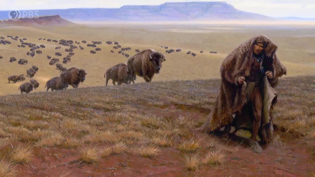 The American Buffalo Exploring the New Documentary from Ken Burns PBS art 5